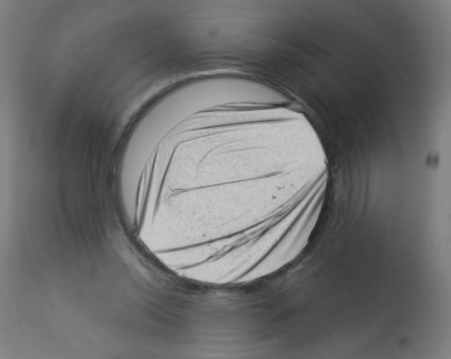 X0000112980350200910081115
