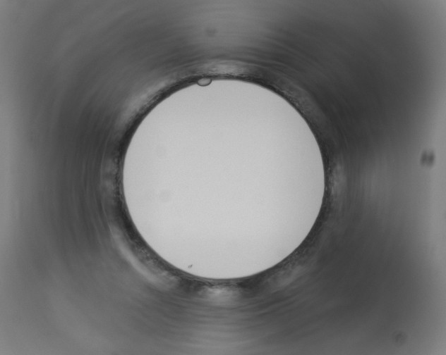 X0000112980352200910081115