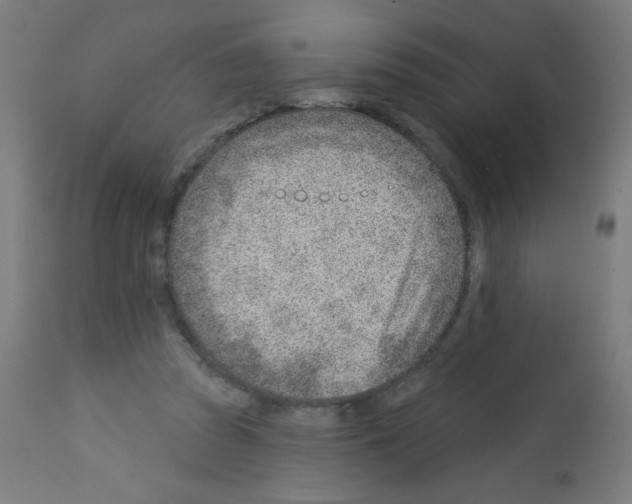 X0000112980353200910081115