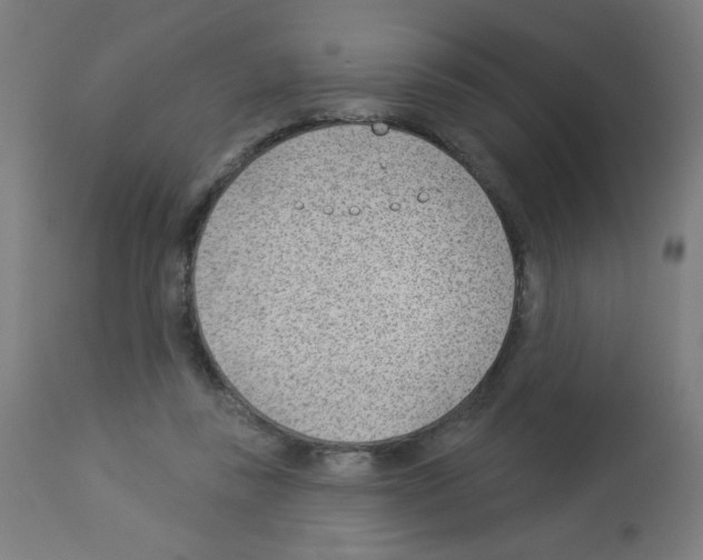 X0000112980355200910081115