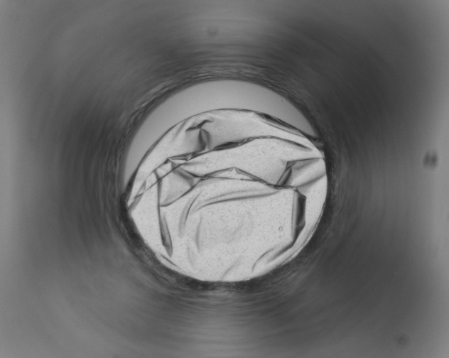 X0000112980356200910081115