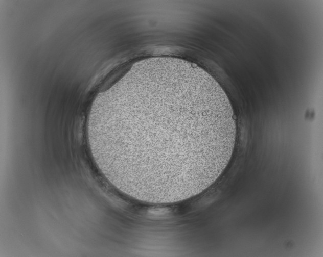 X0000112980357200910081115