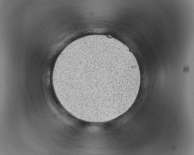 X0000112980358200910081115