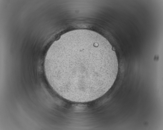 X0000112980359200910081115