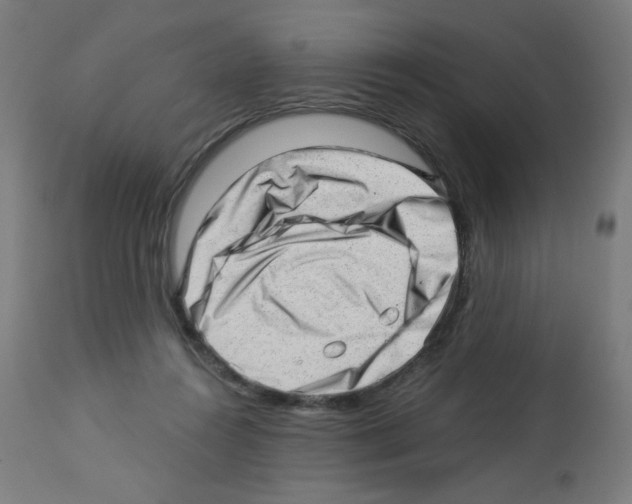 X0000112980360200910081115