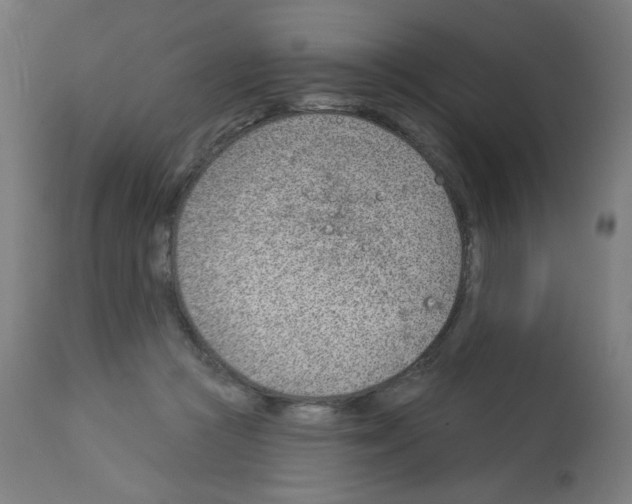 X0000112980361200910081115