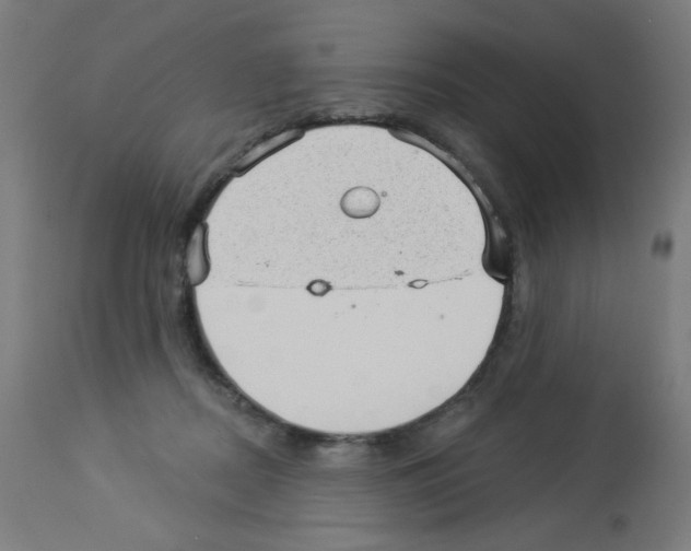 X0000112980362200910081115