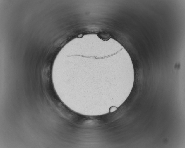 X0000112980364200910081115
