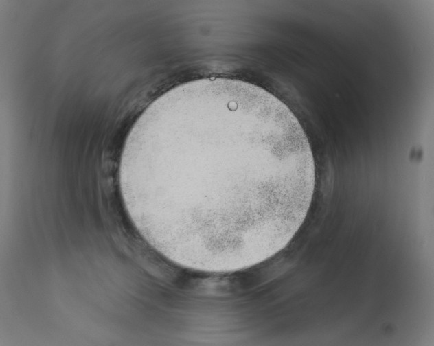 X0000112980366200910081115
