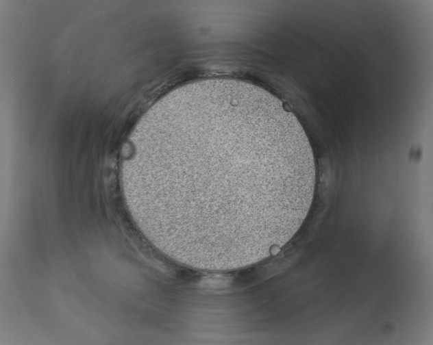 X0000112980369200910081115