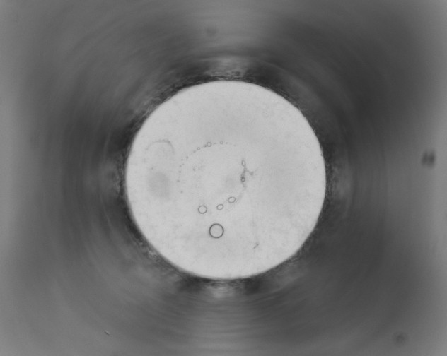 X0000112980370200910081115