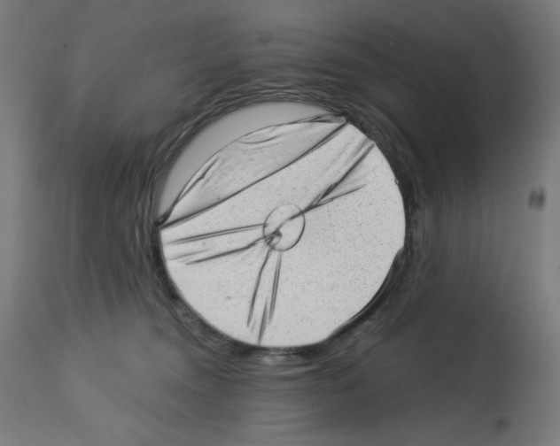 X0000112980372200910081115