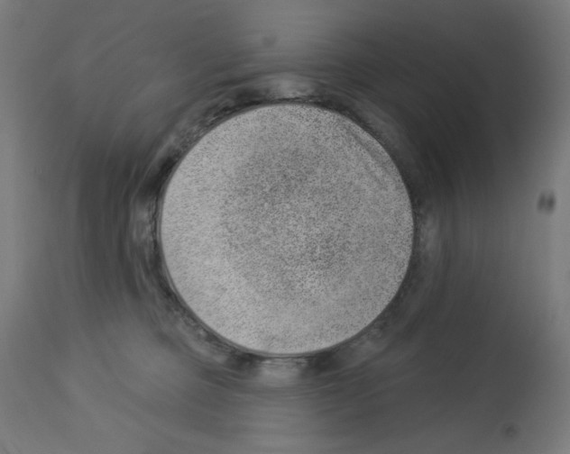 X0000112980373200910081115
