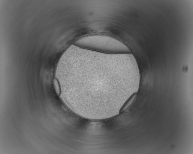 X0000112980376200910081115
