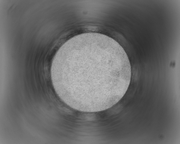 X0000112980377200910081115