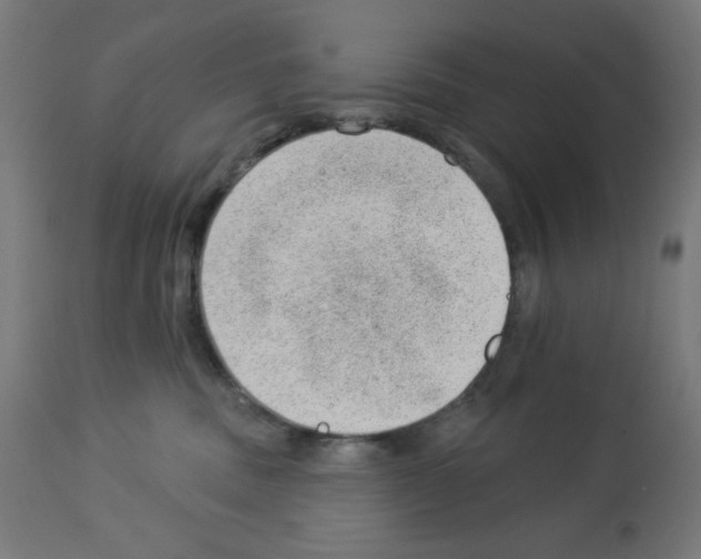 X0000112980379200910081115