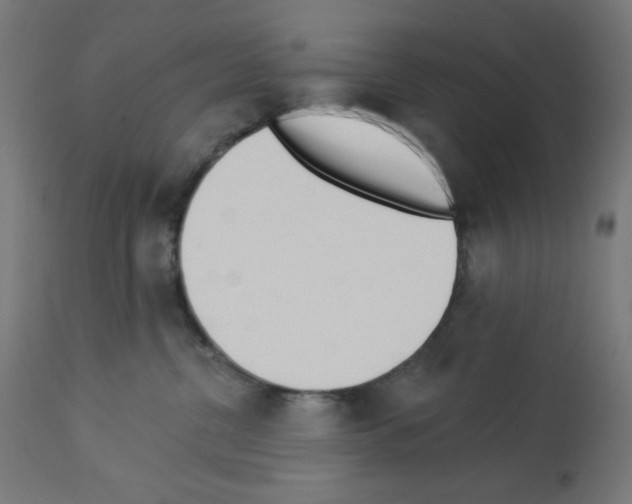 X0000112980380200910081115