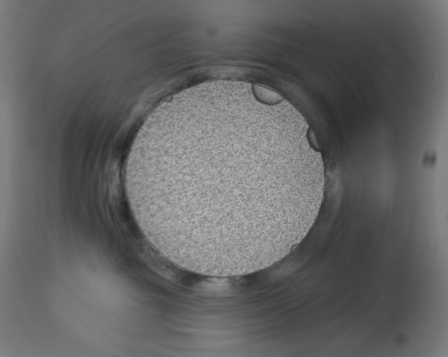 X0000112980381200910081115