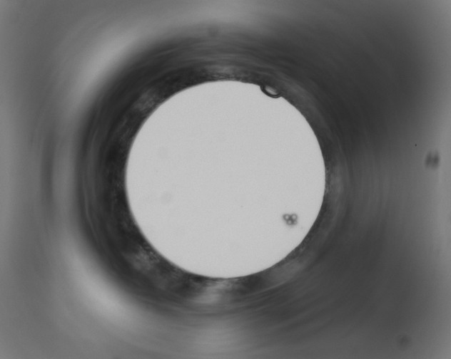 X0000112980382200910081115