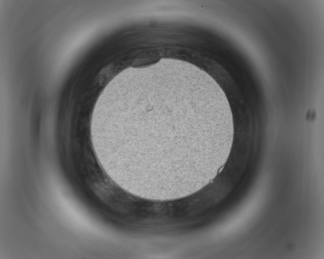 X0000112980383200910081115