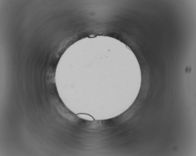 X0000112980384200910081115