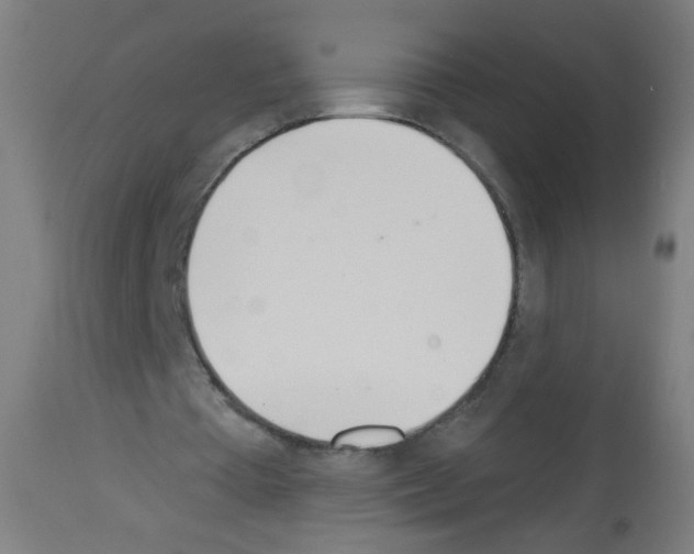 X0000112980385200910081115
