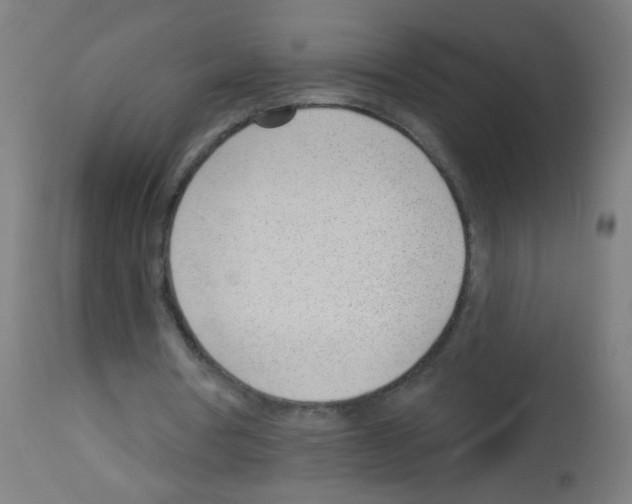 X0000112980386200910081115