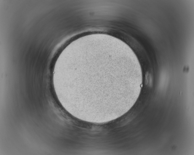 X0000112980388200910081115