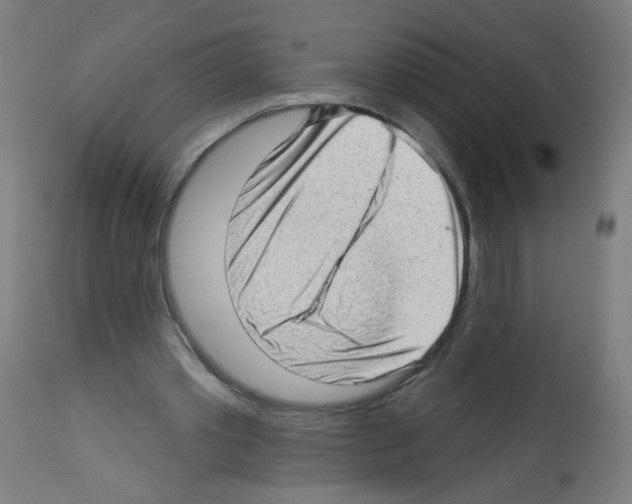 X0000112980389200910081115