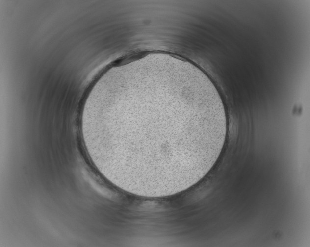 X0000112980390200910081115