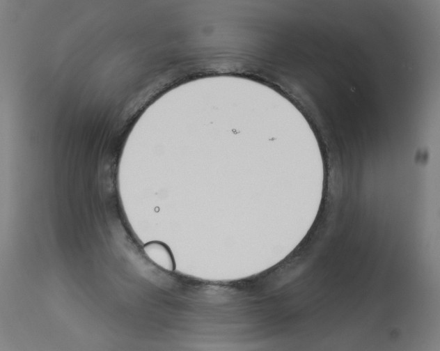 X0000112980393200910081115