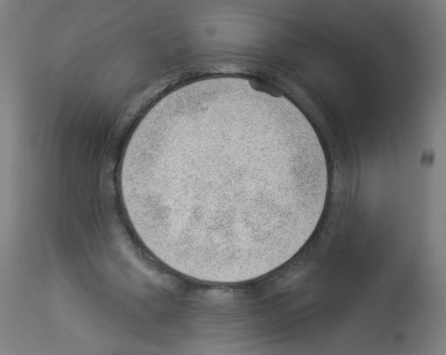 X0000112980394200910081115