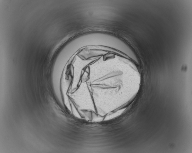 X0000112980395200910081115