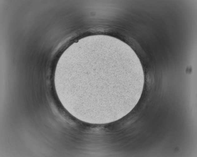 X0000112980396200910081115