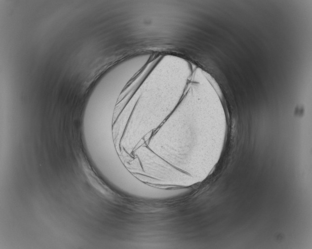 X0000112980397200910081115
