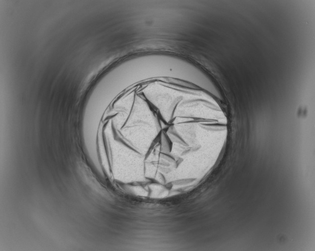X0000112980399200910081115