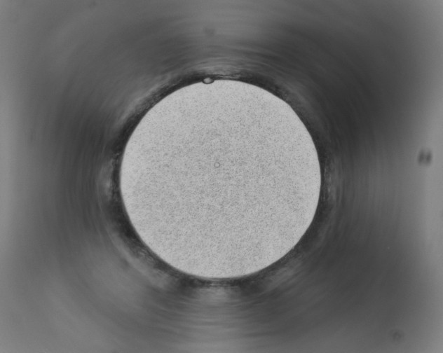 X0000112980404200910081114