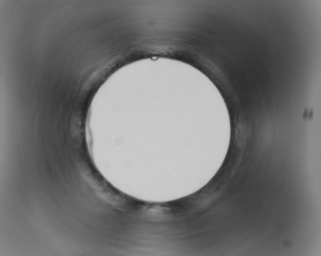 X0000112980407200910081114