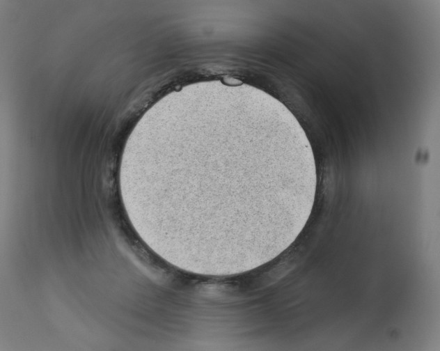 X0000112980408200910081114