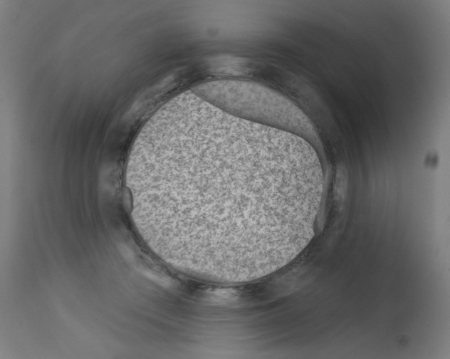X0000112980409200910081114