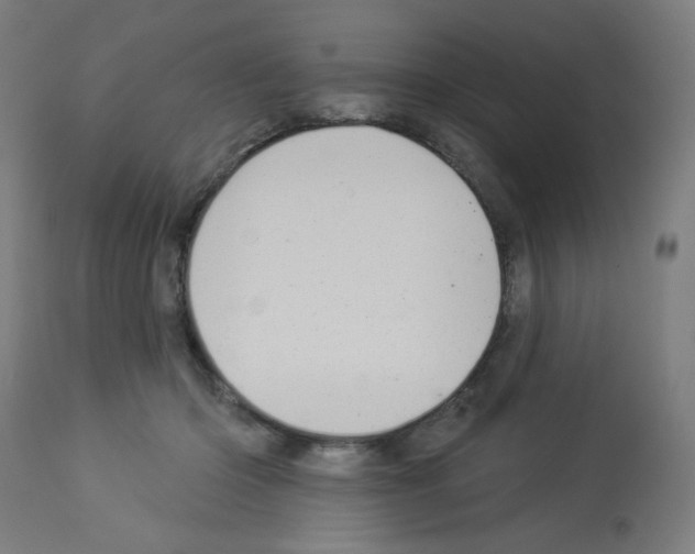 X0000112980414200910081114