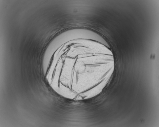 X0000112980415200910081114