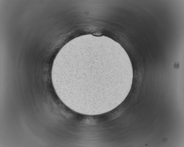 X0000112980416200910081114