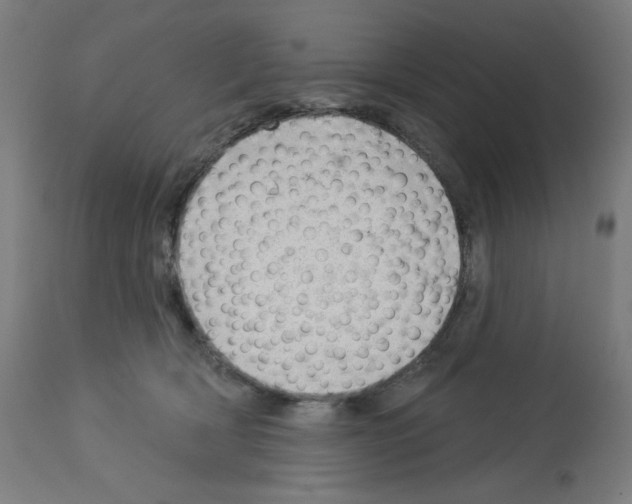 X0000112980418200910081114