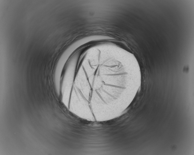 X0000112980419200910081114