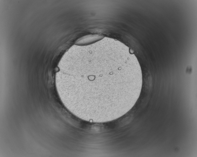 X0000112980420200910081114