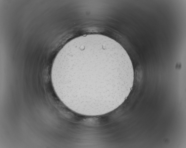 X0000112980422200910081114