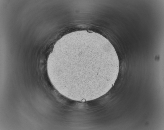 X0000112980424200910081114