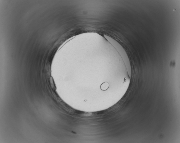 X0000112980425200910081114