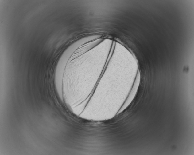 X0000112980427200910081114